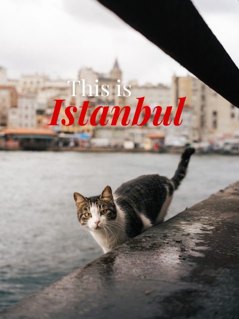 Über mich 🇹🇷Three days in Istanbul with @leah_klst 💖
What has been stuck in my mind? 1️⃣✨This city is bursting with life. 2️⃣🍬Turkish delight is totally overrated. 3️⃣🌊Seaside cities are goated!
I will definitely come back soon!🛫
#turkey #istanbul #photography #streetphotography